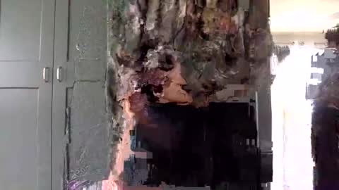 mince_alors online show from 11/24/25, 05:34