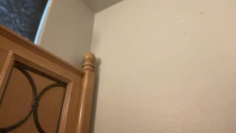 Minx online show from 02/11/26, 02:22