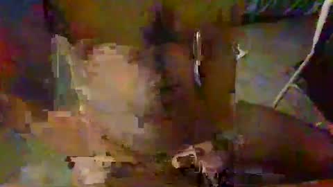 Snapshot of minoas31 chatting on 12/09/24, 06:46 minoas31 online show from 12/09/24, 06:46