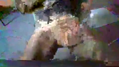 Snapshot of minoas31 chatting on 12/13/24, 08:09 minoas31 online show from 12/13/24, 08:09