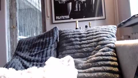 Snapshot of miracolix_030 chatting on 02/10/26, 09:02 Ben online show from 02/10/26, 09:02