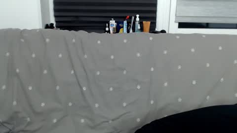              online show from 01/31/25, 08:22