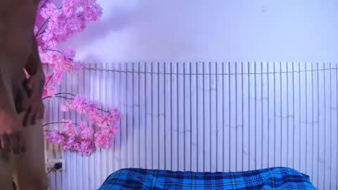 Mirandatroy online show from 12/02/25, 07:53