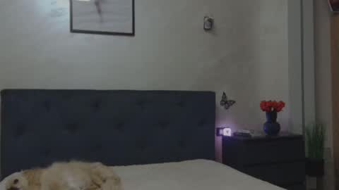 Snapshot of miriam04 chatting on 12/04/25, 10:29 miriam04 online show from 12/04/25, 10:29