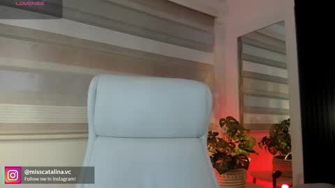 Catalina online show from 03/24/26, 11:48