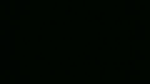 Elis online show from 11/13/25, 03:55