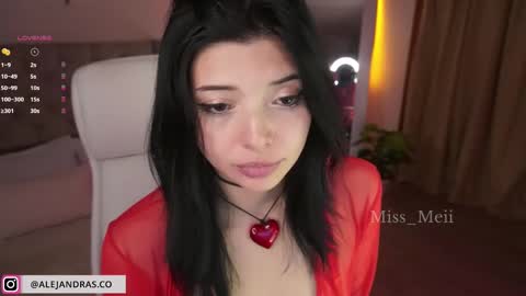 Snapshot of miss_meii chatting on 02/13/25, 12:02 Alejandra online show from 02/13/25, 12:02