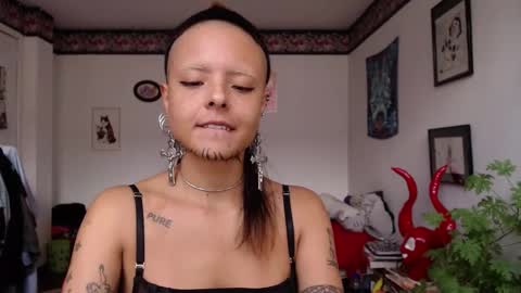 Anarkitten  online show from 02/21/25, 07:10