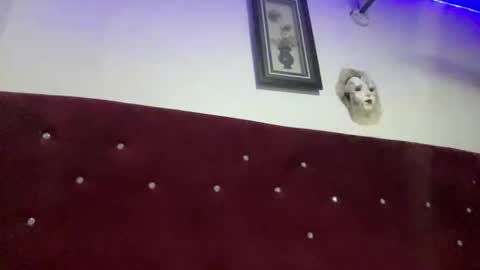 Missbelle online show from 02/28/26, 09:16