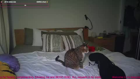 missemmbeex online show from 03/02/26, 08:59