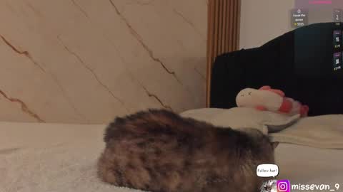 Sami Evan online show from 04/22/26, 12:39