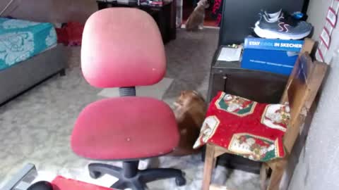 Snapshot of missgomezz_ chatting on 05/26/26, 06:04 Maria Gomezz online show from 05/26/26, 06:04