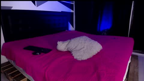 Snapshot of missloise chatting on 01/29/25, 12:56 Miss Loise online show from 01/29/25, 12:56