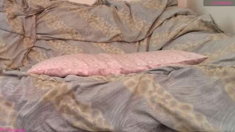 Snapshot of missmagnetizm chatting on 02/19/26, 11:06 Vi online show from 02/19/26, 11:06