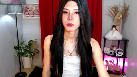 Stella online show from 11/21/25, 08:02