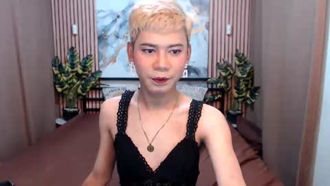 Snapshot of misstransstella69 chatting on 08/05/26, 05:54 Stella online show from 08/05/26, 05:54