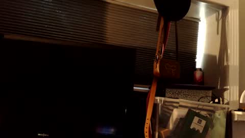 mistressdannydarko online show from 06/21/26, 11:18