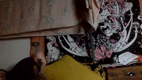 Mistress Mystii online show from 01/12/25, 06:28