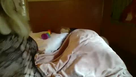 Snapshot of mitchellebunny7 chatting on 02/05/25, 06:48 MichelleBunny7 online show from 02/05/25, 06:48