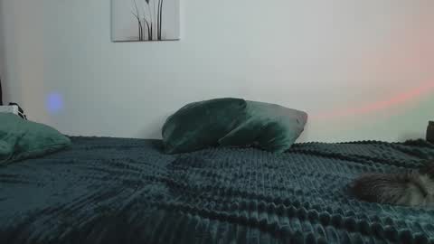 Yuka online show from 02/12/25, 10:26