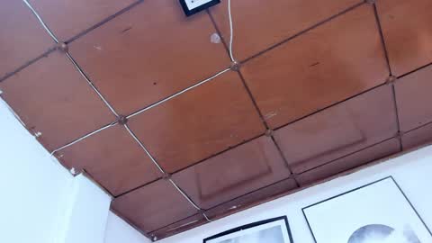 miyu_komori online show from 04/21/26, 01:42