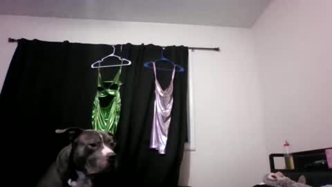 miztrezk online show from 05/12/26, 02:08