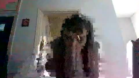 Snapshot of mmpempis81 chatting on 02/25/25, 06:47 mmpempis81 online show from 02/25/25, 06:47