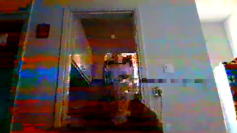 Snapshot of mmpempis81 chatting on 03/09/25, 04:11 mmpempis81 online show from 03/09/25, 04:11