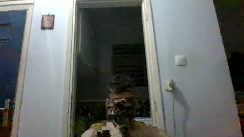 Snapshot of mmpempis81 chatting on 09/28/25, 07:08 mmpempis81 online show from 09/28/25, 07:08