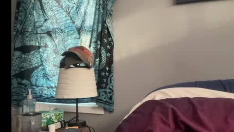 MNTuiLa online show from 01/13/25, 03:15