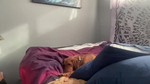 MNTuiLa online show from 02/17/25, 03:31