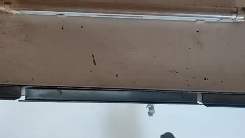 Snapshot of modelo_web18 chatting on 09/24/25, 12:08 camilo online show from 09/24/25, 12:08