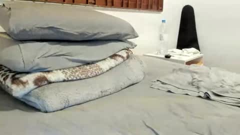 DigBreed online show from 04/22/26, 09:16