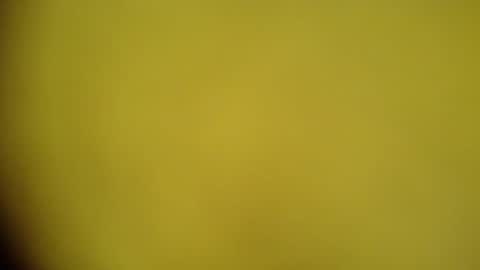 Snapshot of mohamedasif123 chatting on 01/29/25, 06:22 mohamedasif123 online show from 01/29/25, 06:22