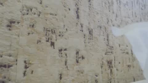 Mohito200711 online show from 01/21/25, 10:41