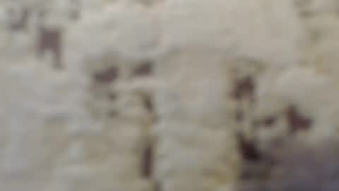 Mohito200711 online show from 09/12/25, 06:35