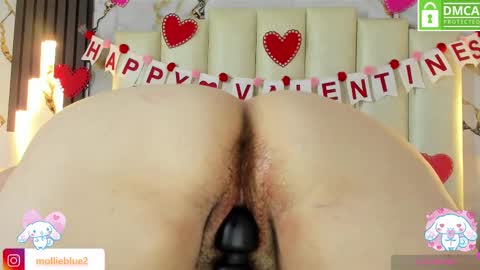 Snapshot of molliebue1 chatting on 02/14/25, 03:15 Hey Guys Im Mollie online show from 02/14/25, 03:15