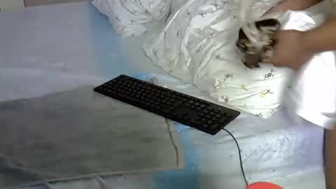 mollyn online show from 03/18/26, 10:51