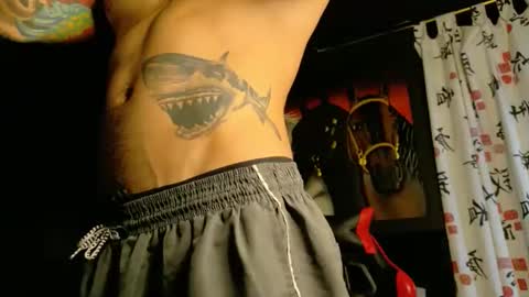 Molotov online show from 11/19/25, 09:15