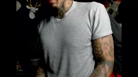 Molotov online show from 02/02/26, 10:08