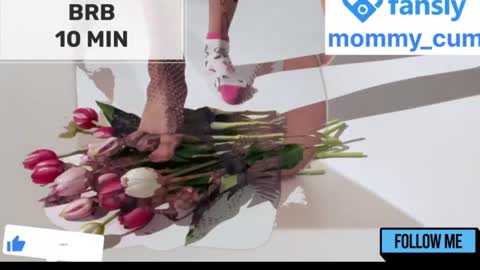 Snapshot of mommy_cum chatting on 01/23/25, 08:25 Mommy online show from 01/23/25, 08:25