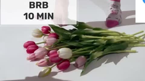 Snapshot of mommy_cum chatting on 03/02/26, 05:08 Mommy online show from 03/02/26, 05:08