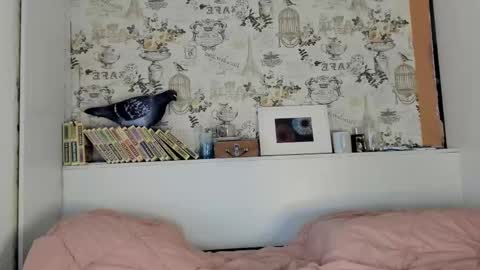 Liza online show from 09/15/25, 09:59