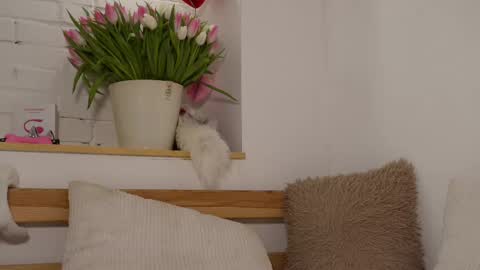 monicaasis online show from 03/08/25, 09:18