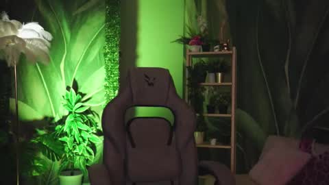 monica online show from 05/14/26, 11:33