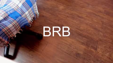 Monika NO c2c ever. PVT free Naked Fingering pussy doggy or standing BJ HJ Feet Fashion. PVT extra Toy control 400tk. online show from 02/06/25, 11:37