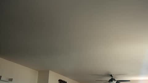 Snapshot of monkeedance chatting on 01/12/25, 05:44 Monkee Dance online show from 01/12/25, 05:44