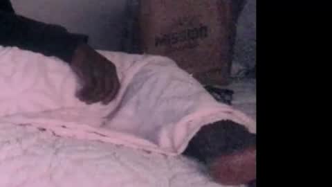 montydxxx2 online show from 02/03/26, 06:40