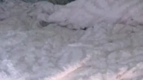 montydxxx2 online show from 02/05/26, 12:26