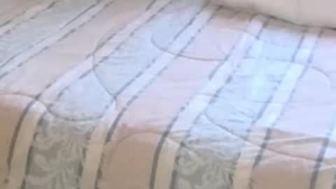 montydxxx2 online show from 02/12/26, 11:22